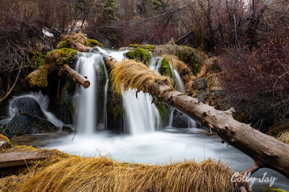 Camp Kiesel, landscape photo by Colby Taylor